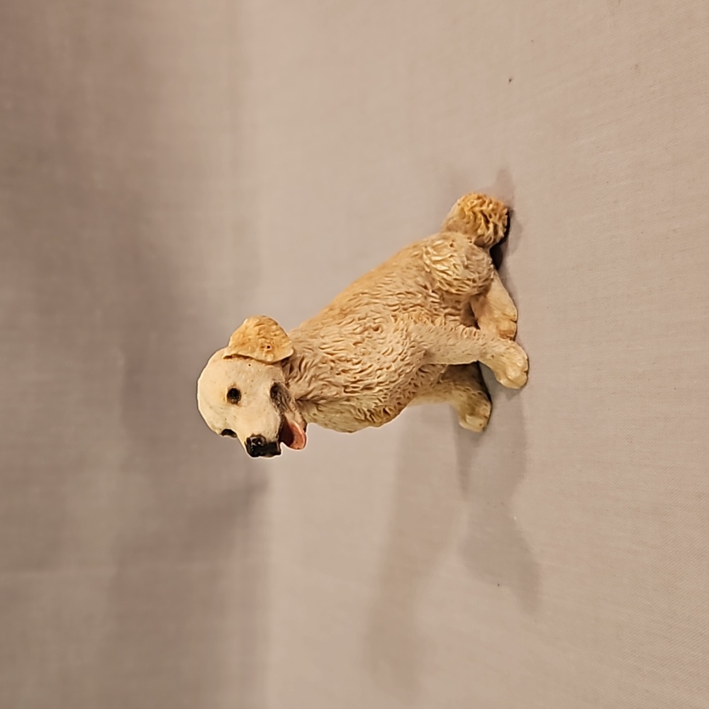 Original By Castagna Golden Retriever Italy